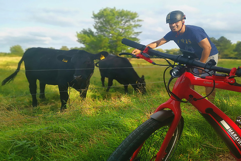 Copenaghen: caccia al tesoro in e-bike dei giganti dimenticati