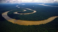 Pacaya Samiria Iquitos 4 giorni Mistical Experience - Hizvo