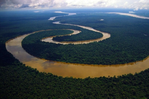 Pacaya Samiria Iquitos 4-Tage-MistikerlebnisVon Iquitos aus: 4-tägiges Erlebnis im Pacaya Samiria Reservat