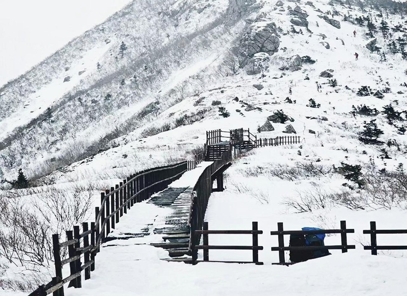Fra Seoul: Dagstur til Seoraksan Nationalpark og Nami Island