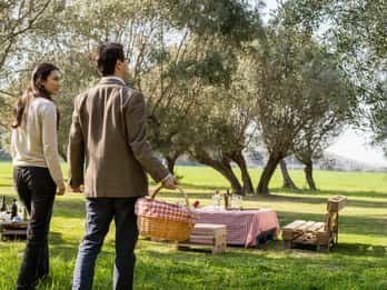 Abruzzo: Country Picnic in an Olive Grove at a Winery