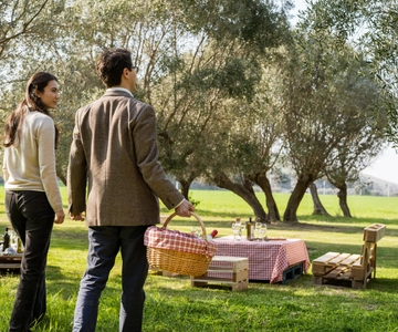 Abruzzo: Country Picnic in an Olive Grove at a Winery