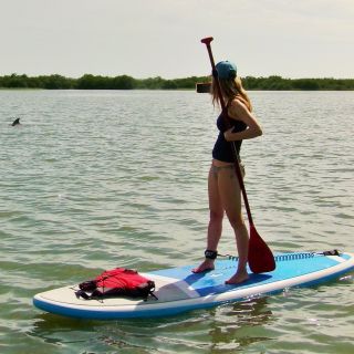 St. Augustine: Paddle Board Dolphin Adventure