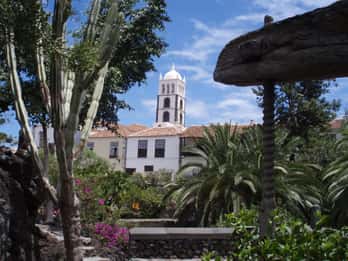 Desde Santa Cruz de Tenerife: Excursión Privada Masca y Garachico
