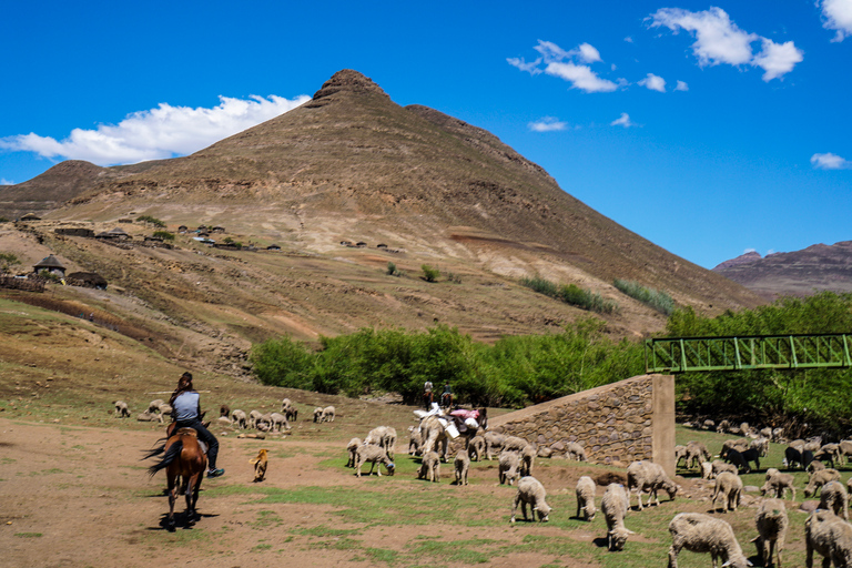 Au départ d'Underberg : Excursion d'une journée au Lesotho avec déjeuner pique-niqueTour avec Pony Trekking