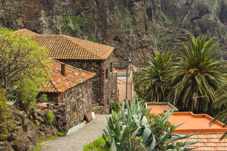 Von Santa Cruz de Tenerife aus: Masca & Garachico Privatausflug