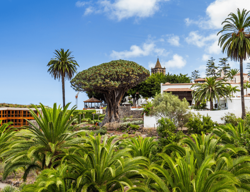 Markomilk  Santa Cruz de Tenerife