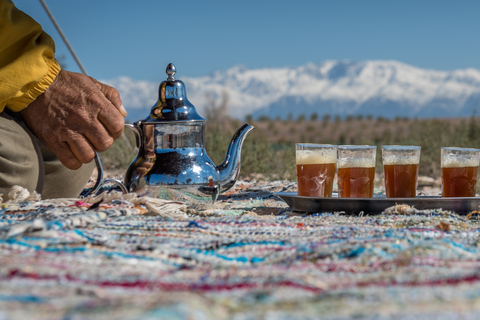 Vanuit Marrakesh: halve dag quadrijden in de woestijnQuadervaring van een halve dag