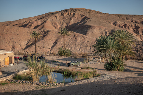 Vanuit Marrakesh: halve dag quadrijden in de woestijnQuadervaring van een halve dag