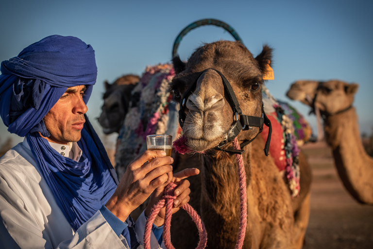 Deserto de Agafay: Aventura de Quadriciclo e CameloMarrakech: Aventura de Quadriciclo e Camelo