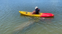 Cocoa Beach, Sunset Guided Kayak Tour - Hizvo