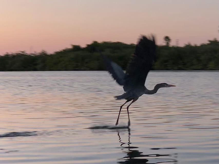 Plage de Cocoa, visite guidée de Kayak par le coucher du soleil - Hizvo