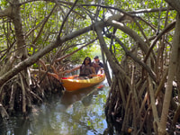 Cocoa Beach, Sunset Guided Kayak Tour - Hizvo