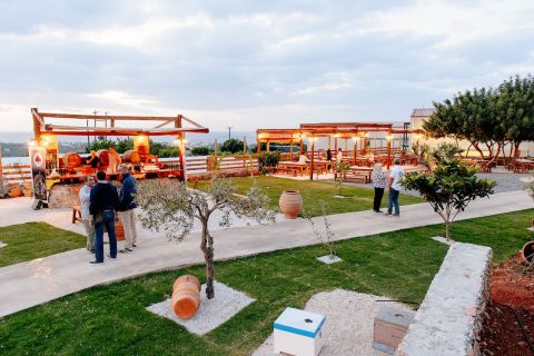 Olive Oil Festival: Cretan Farm, Dinner, Live Show & Pick-up