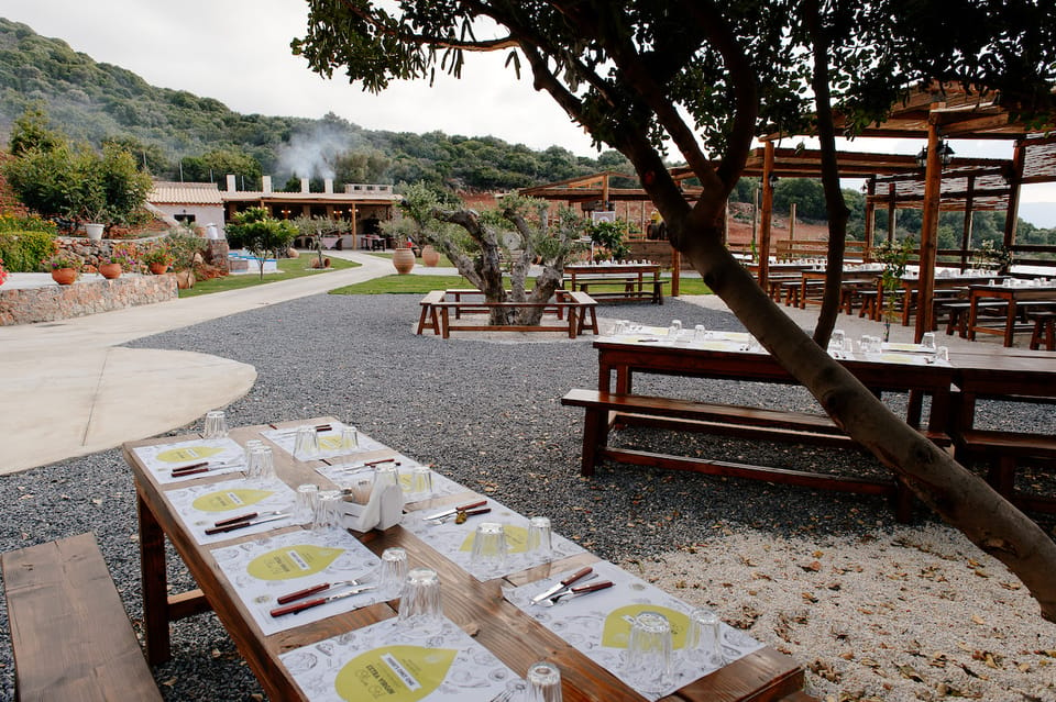 Olive-oil Soap Making Workshop  Athens Insiders - Private Tours