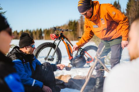 Rovaniemi: Arctic Wilderness & Forests Guided E-Bike Tour