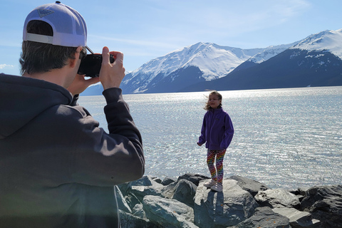 From Anchorage: Wilderness, Wildlife, & Glacier Experience