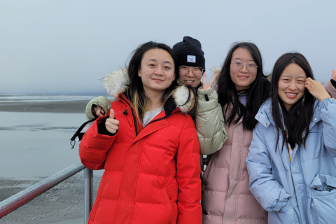 From Anchorage: Wilderness, Wildlife, & Glacier Experience