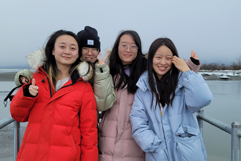 From Anchorage: Wilderness, Wildlife, & Glacier Experience