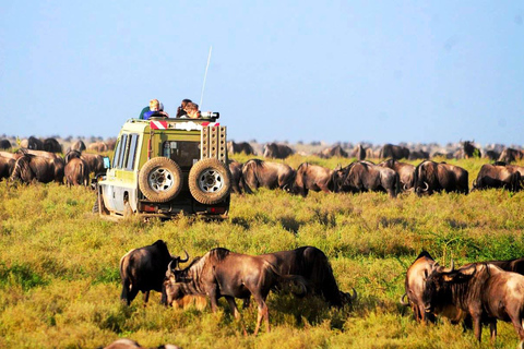 7Daagse Lake Nakuru Masai Mara Serengeti &amp; Ngorongoro Safari