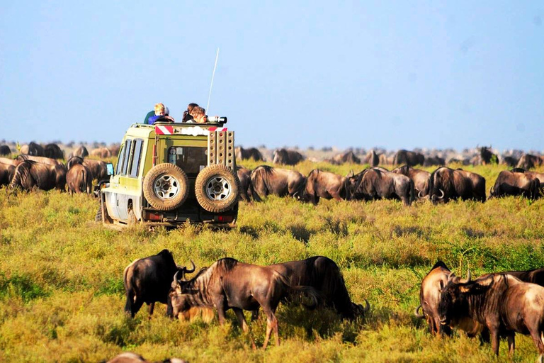 7Daagse Lake Nakuru Masai Mara Serengeti &amp; Ngorongoro Safari