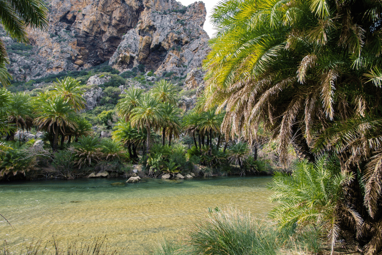 Heraklion: Preveli Palm Beach Boottocht & Rondleiding door de stad RethymnoOphalen bij: Heraklion, Amoudara, Agia Pelagia en Kokini Hani