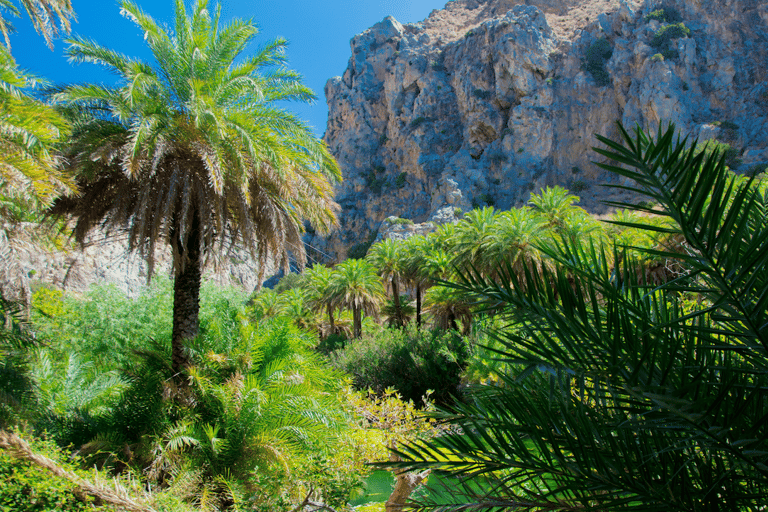 Heraklion: Preveli Palm Beach Boottocht & Rondleiding door de stad RethymnoOphalen bij: Heraklion, Amoudara, Agia Pelagia en Kokini Hani