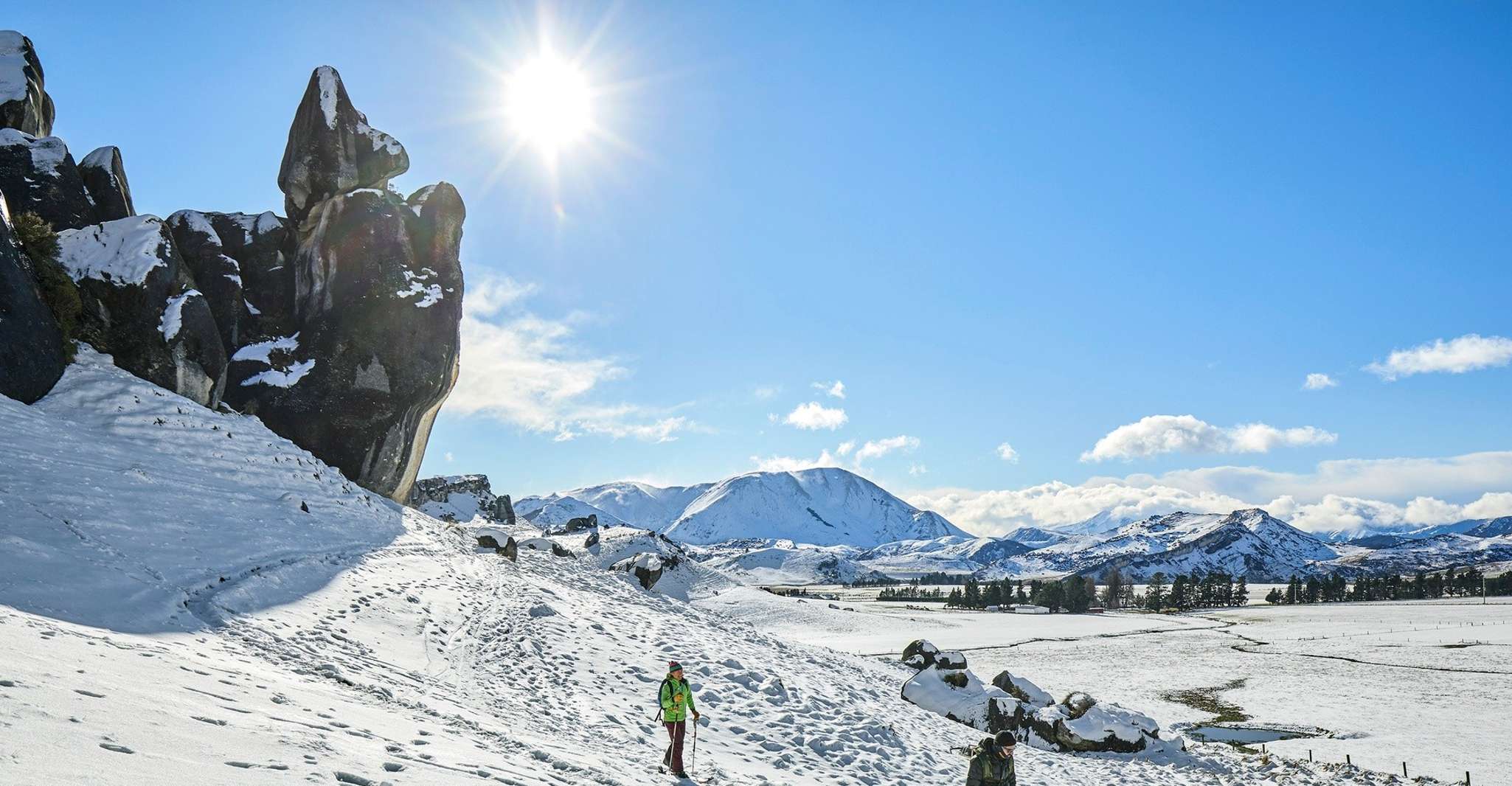 Arthur's Pass, TranzAlpine Train and Castle Hill Day Tour - Housity