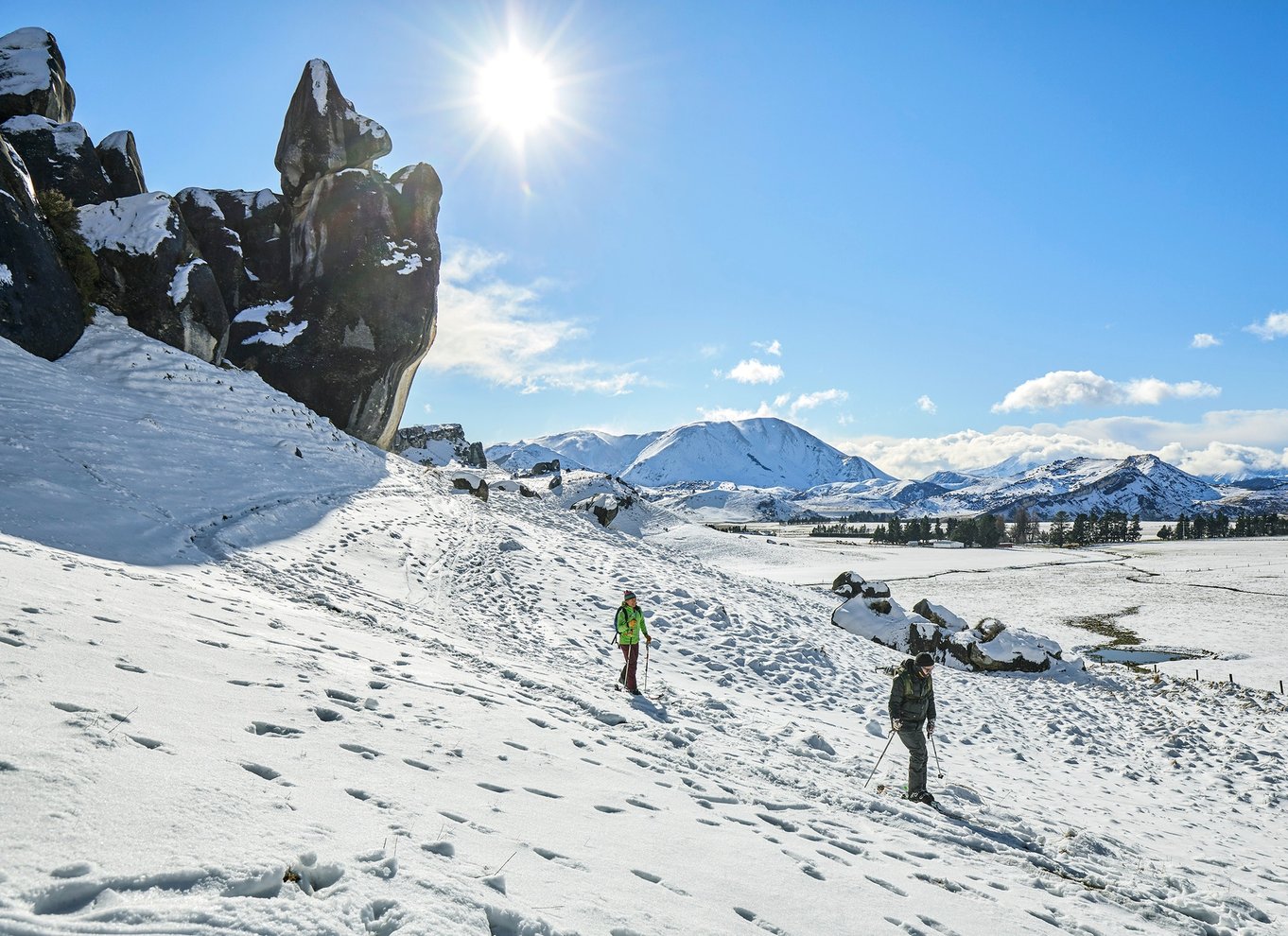 Arthur's Pass: TranzAlpine Train og Castle Hill dagstur