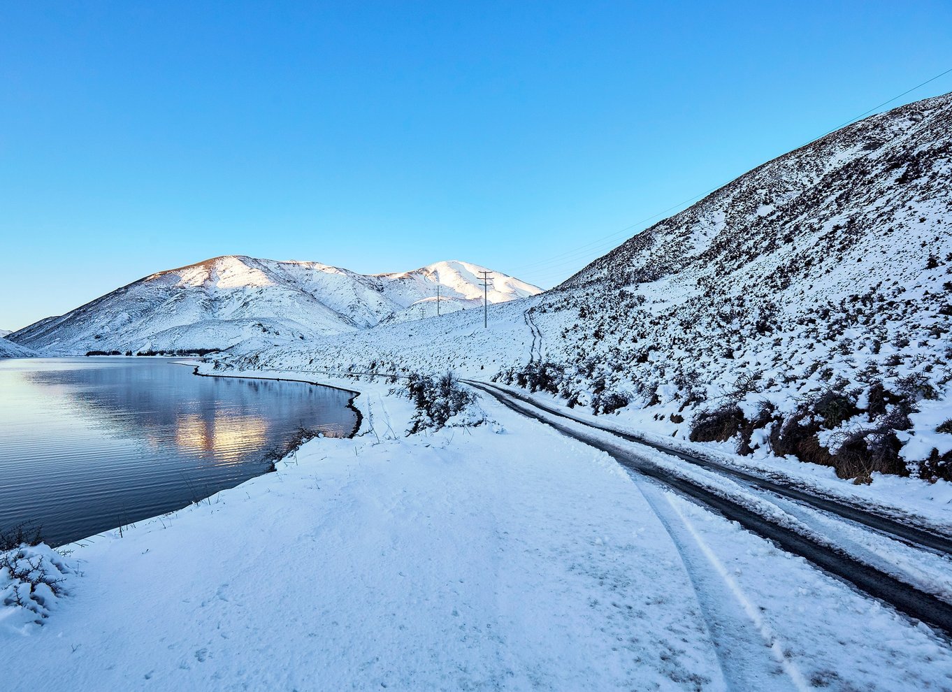 Arthur's Pass: TranzAlpine Train og Castle Hill dagstur