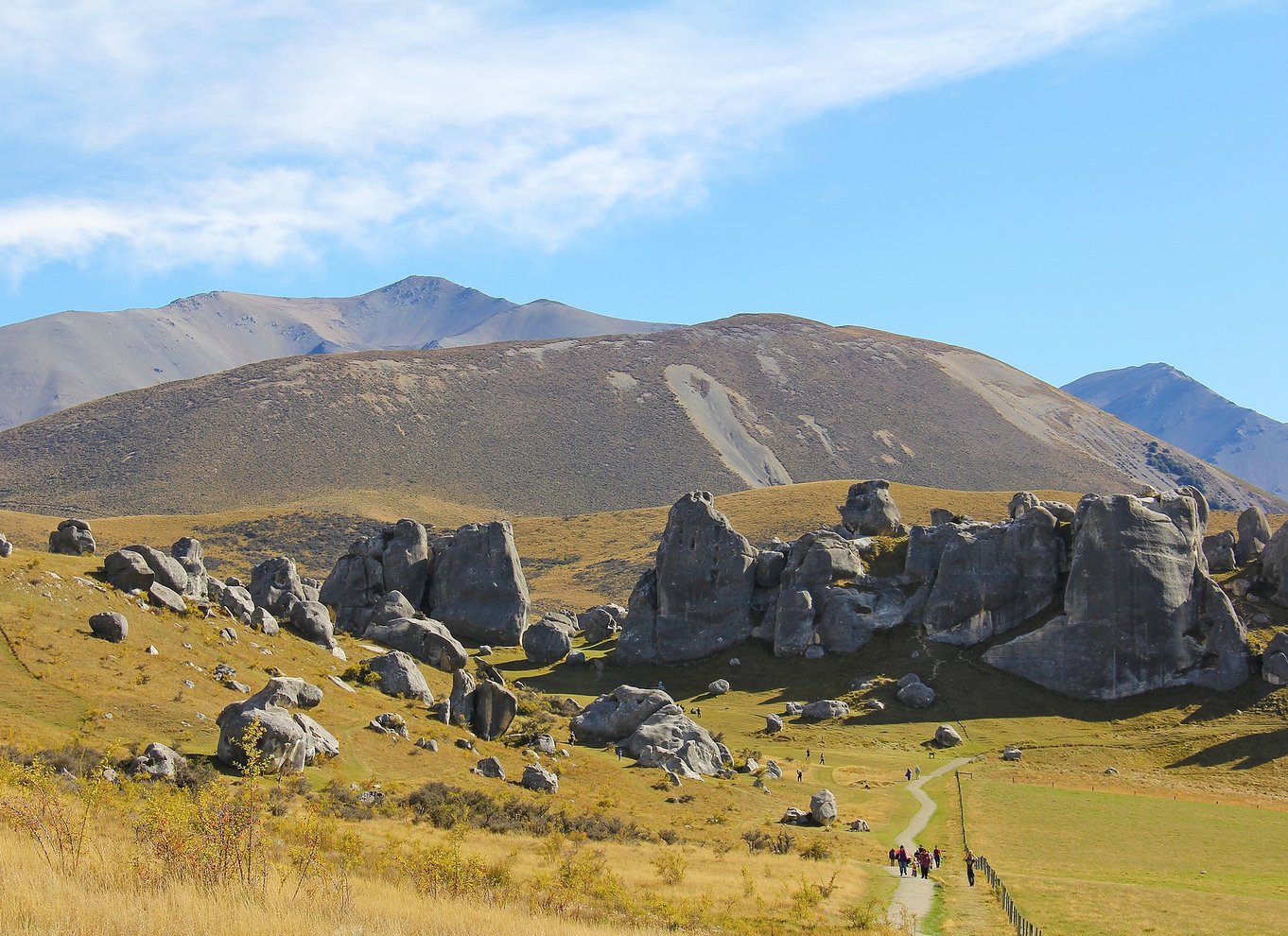 Arthur's Pass: TranzAlpine Train og Castle Hill dagstur