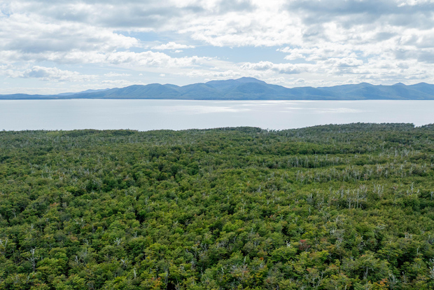 Saindo de Ushuaia: Excursão Off-Road por Lagos