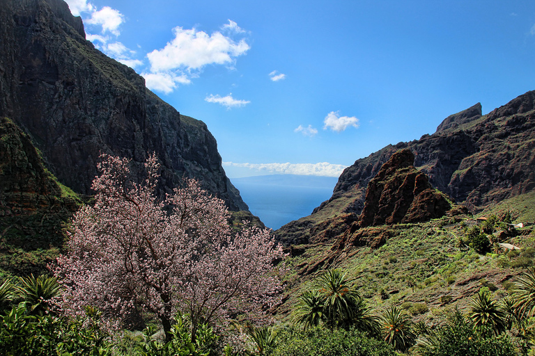 Tenerife: Vuelta completa a la isla con MascaRecorrido desde la Zona Sur