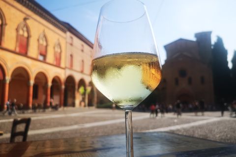 Bologna: City Center Guided Wine Walking Tour