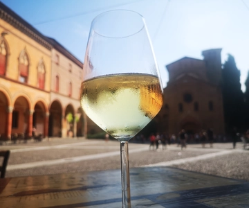 Bologna: City Center Guided Wine Walking Tour