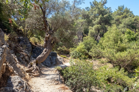 Rhodes: Butterfly Valley and Seven Springs Valley Day Trip