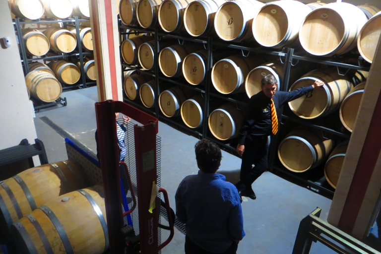 Mallorca : Visite d'une cave à vin et d'une finca d'huile d'olive avec dégustationVin Bodegas & Huile d'olive Finca Private