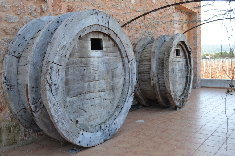 Majorka: wycieczka po piwnicy z winami i oliwą z oliwek z degustacjąWine Bodegas i oliwa z oliwek Finca Private