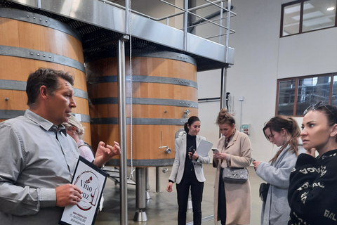 Mallorca: Weinkeller & Olivenöl-Finca-Tour mit VerkostungWein Bodegas & Olivenöl Finca Privat