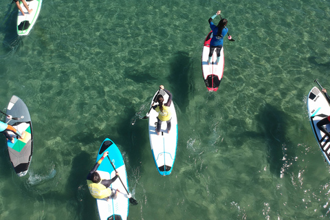 Valencia: Malvarrosa Beach Standup Paddleboard Rental Malvarrosa Beach Paddlesurf Rental