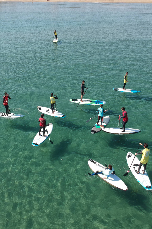 Valencia Malvarrosa Strand Standup Paddleboard Verleih GetYourGuide