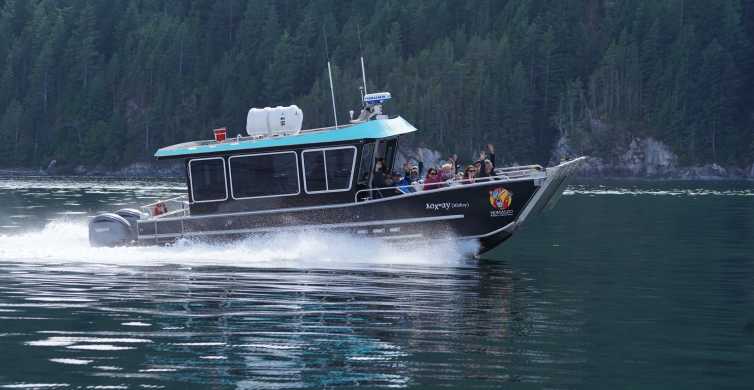 Campbell River Whales Wildlife & Culture Tour GetYourGuide