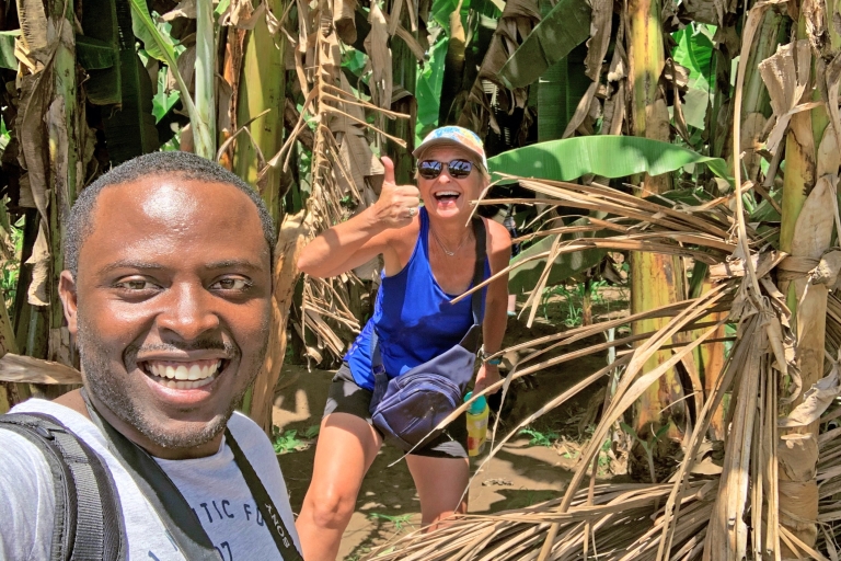 From Praia: Banana Plantation Tour and Cuscuz Workshop Shared Group Tour