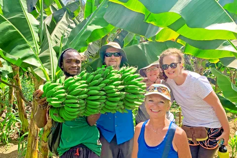 From Praia: Banana Plantation Tour and Cuscuz Workshop