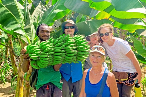 From Praia: Banana Plantation Tour and Cuscuz Workshop Private Tour