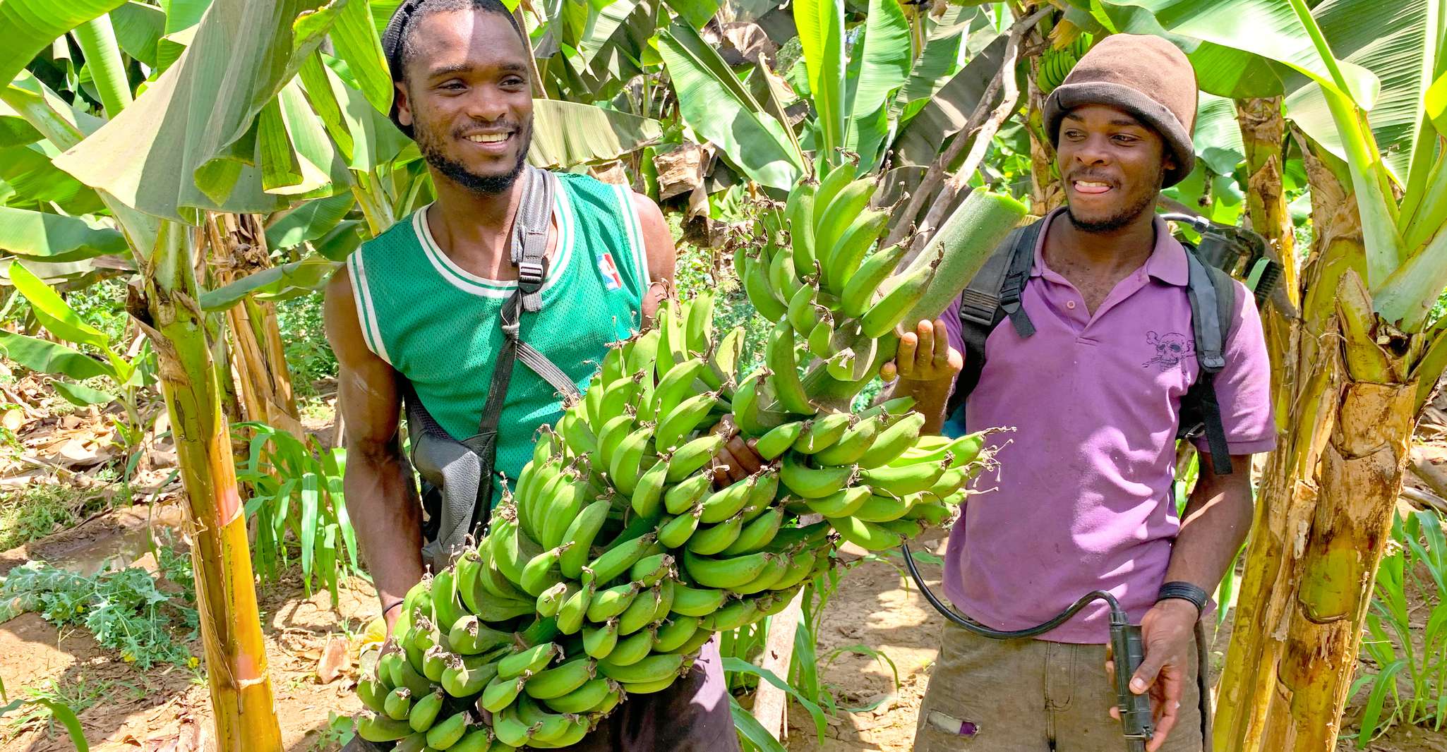 Praia'dan, Banana Plantation Tour ve Cuscuz Atölyesi - Hizvo
