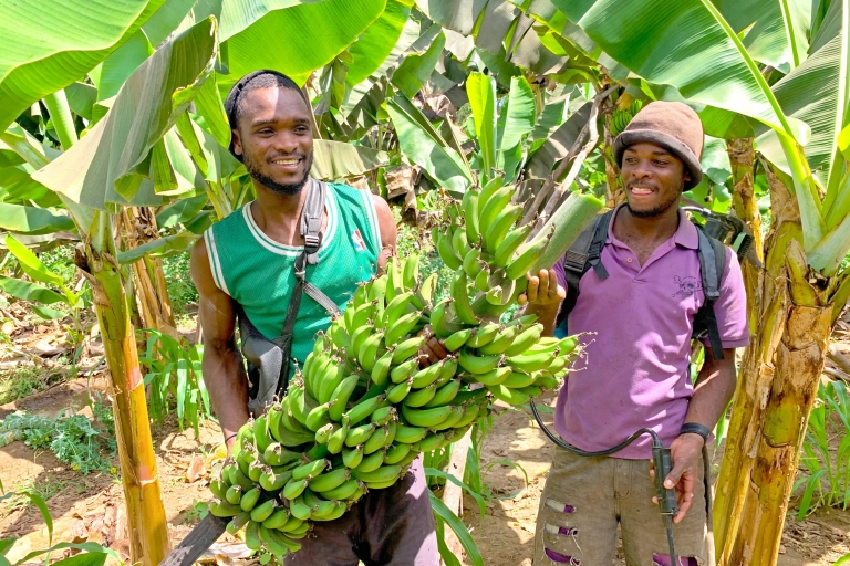 From Praia: Banana Plantation Tour and Cuscuz Workshop Shared Group Tour
