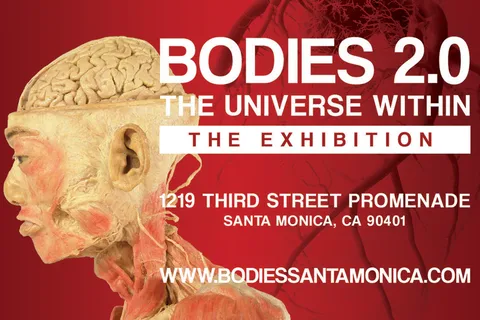 Santa Monica: BODIES 2.0 The Universe Within Exhibit Ticket