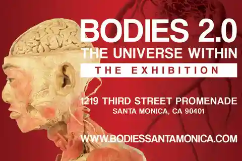 Santa Monica: BODIES 2.0 The Universe Within Ausstellungsticket