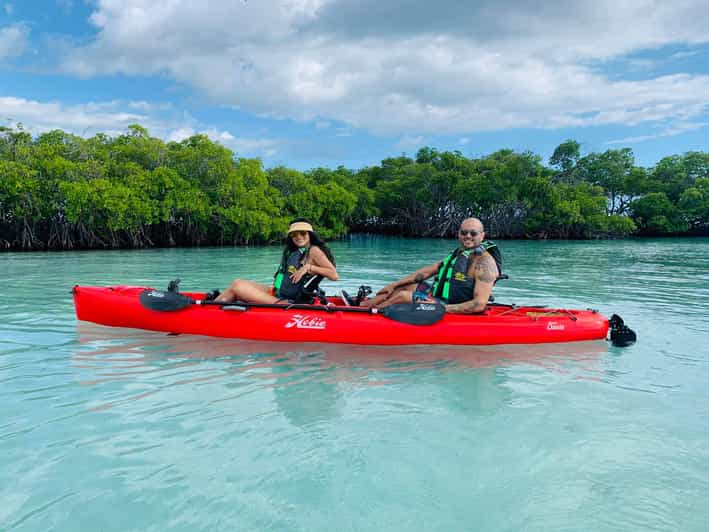 La Parguera: Hobie Pedal Kayak Adventure | GetYourGuide